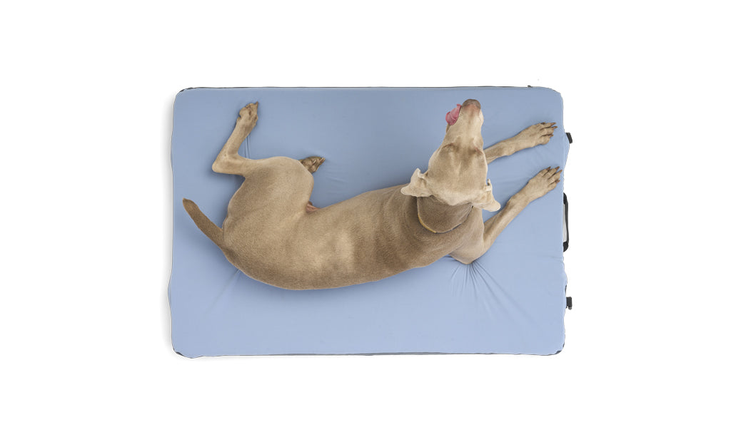 HEST Friend Dog Bed